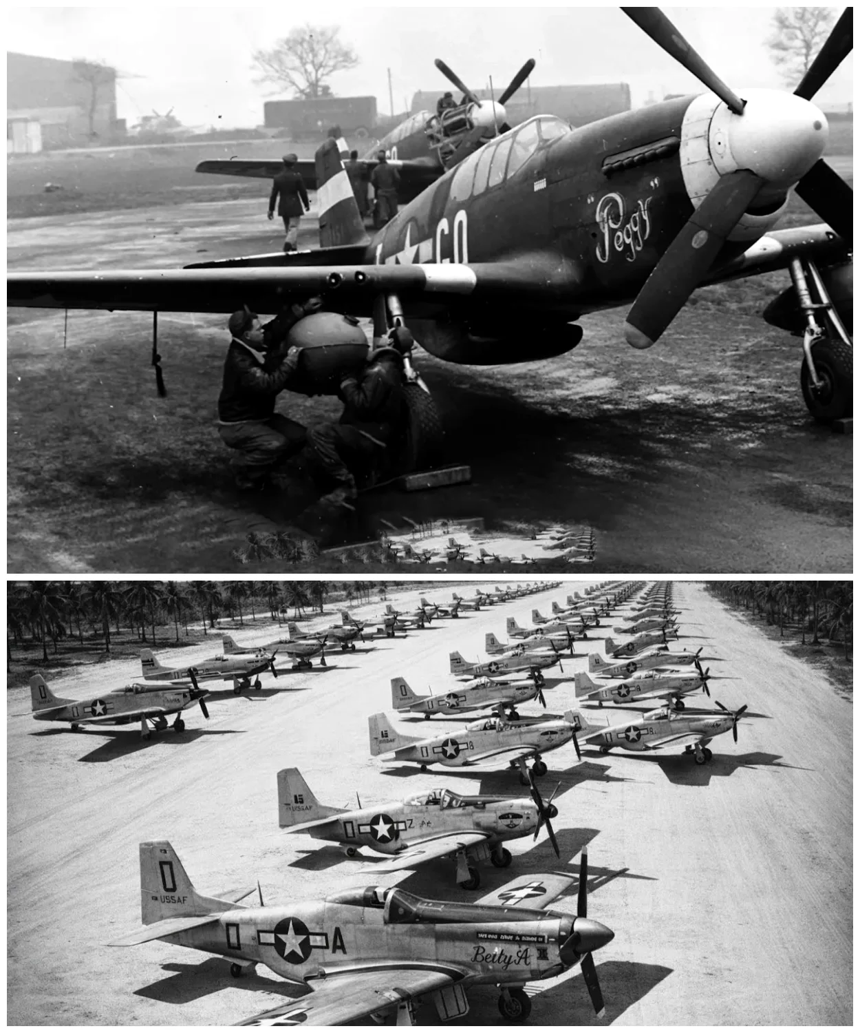WHAT REALLY HAPPENED TO AMERICA’S P-51 MUSTANG FIGHTERS AFTER WW2