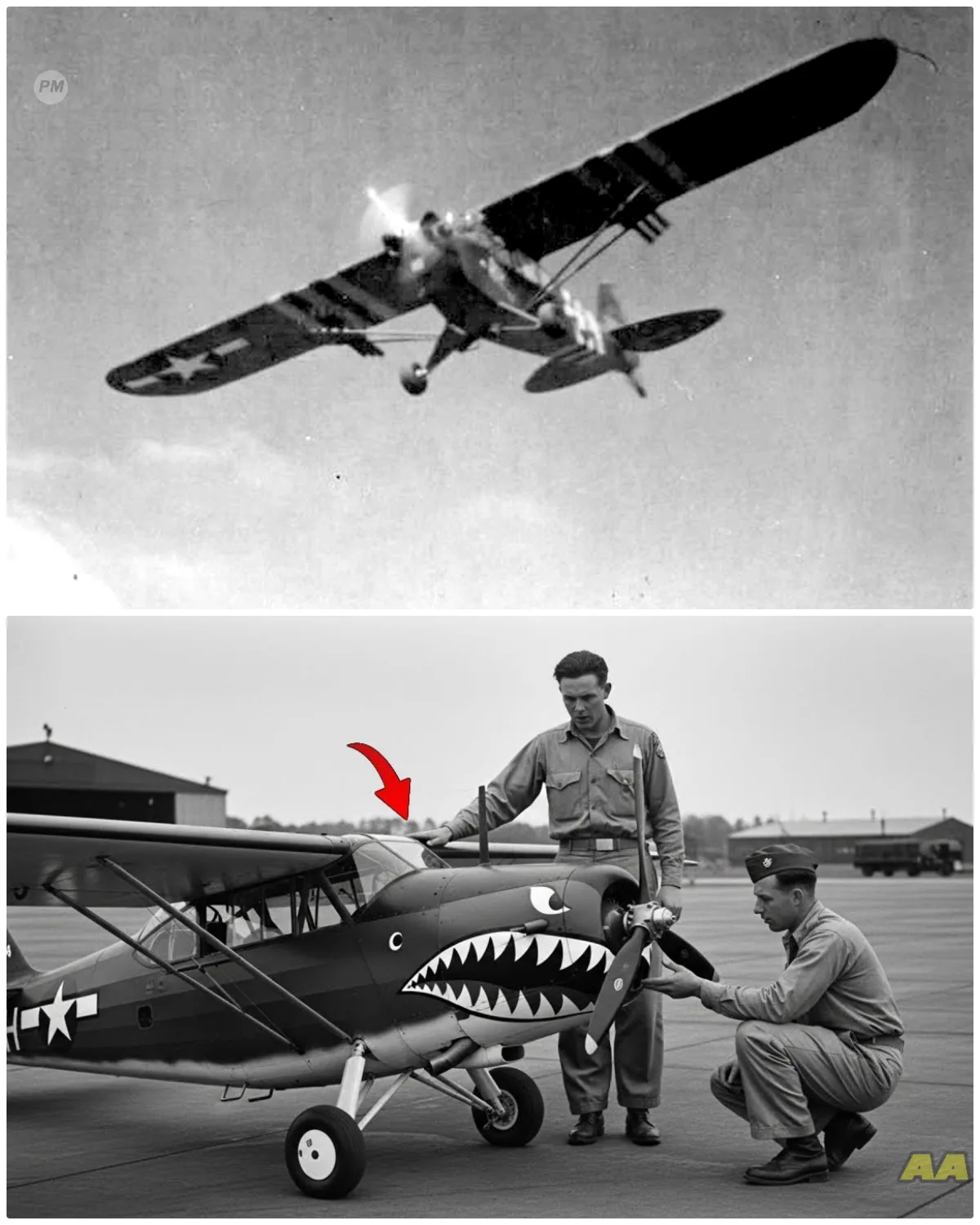 When This ‘Knee-High’ Plane Charged Germans — Nobody Believed What Happened Next