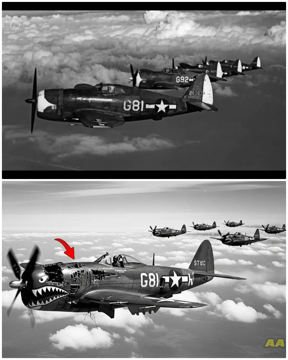 Germans Couldn’t Believe 200 Bullets Didn’t Kill This P-47 — So The Ace Saluted and Left