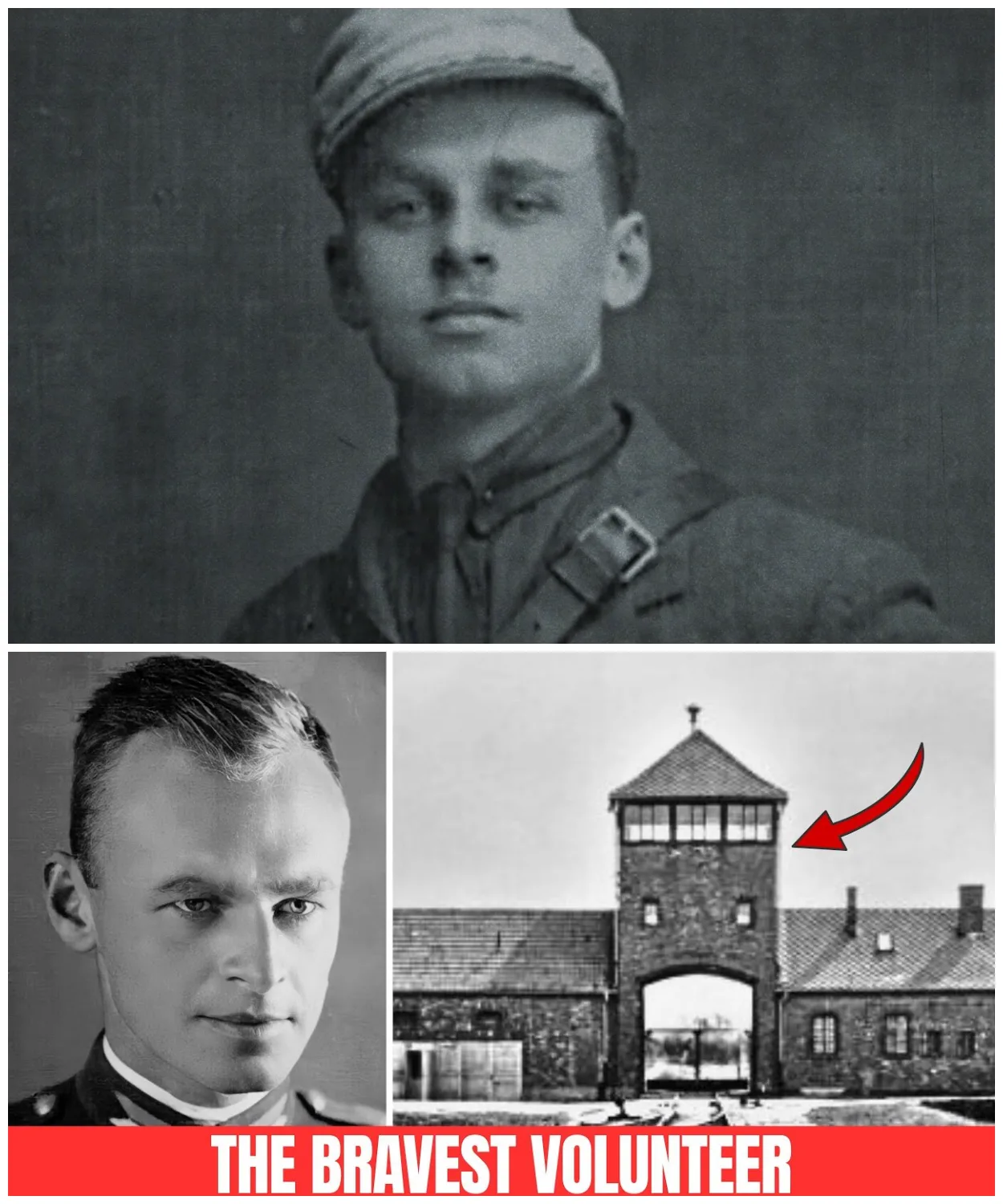 Why Did a Polish Soldier VOLUNTEER to Be Sent to Auschwitz?