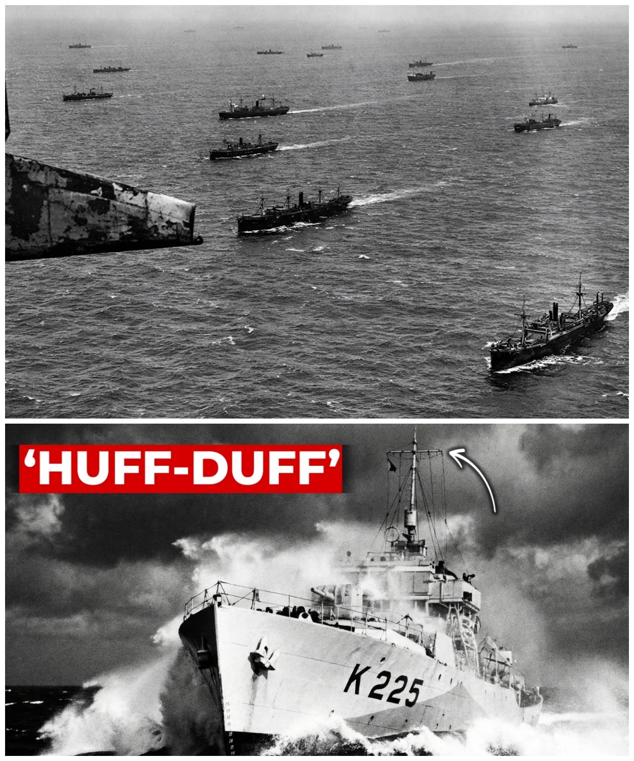 German Ace Tested Captured P-51 Mustang… What He Said Shocked His Superiors