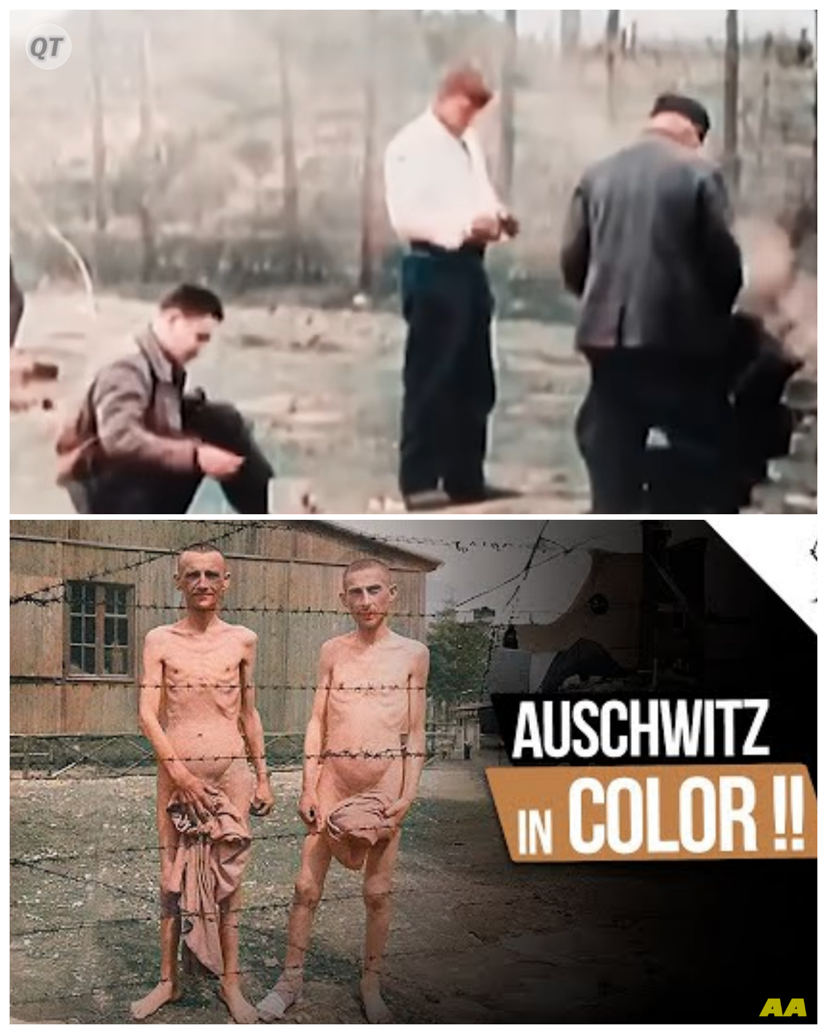 VIDEOS NEVER BEFORE SEEN OF AUSCHWITZ | PURE COLOR-ZZ
