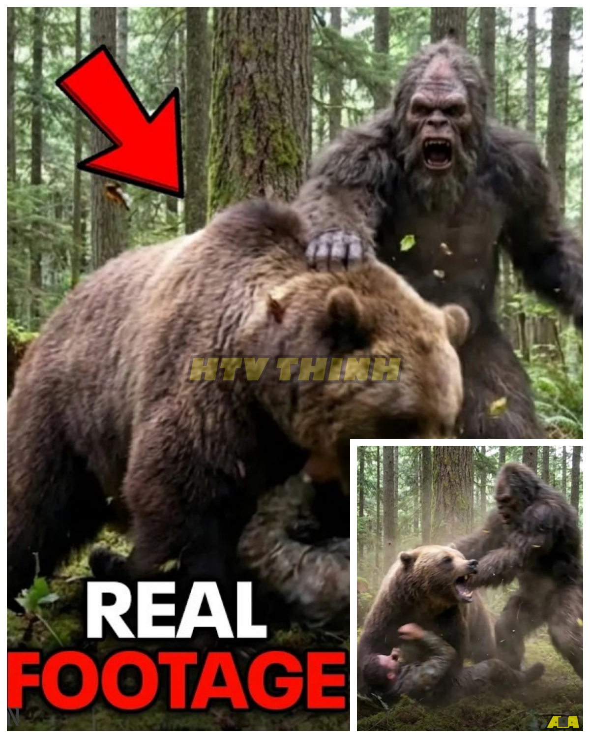 A GRIZZLY WAS SECONDS FROM KILLING HIM… THEN BIGFOOT APPEARED – THE MOMENT THAT DEFIES ALL LOGIC AND LEFT WITNESSES STUNNED It began as a routine hike that turned into a nightmare when a massive grizzly charged, closing the distance in seconds with no escape in sight. Panic set in, adrenaline surged, and everything pointed to a tragic ending… until something impossible stepped out of the treeline. At first, it sounded like shock-induced imagination, but then the details aligned in ways that left even skeptics uneasy. The twist? The alleged figure didn’t attack—it intervened, altering the moment in a way no one could explain. Now the story is spreading fast, dividing believers and critics alike, and raising one chilling question: why would something so elusive appear at that exact moment, and what really happened in those final seconds?