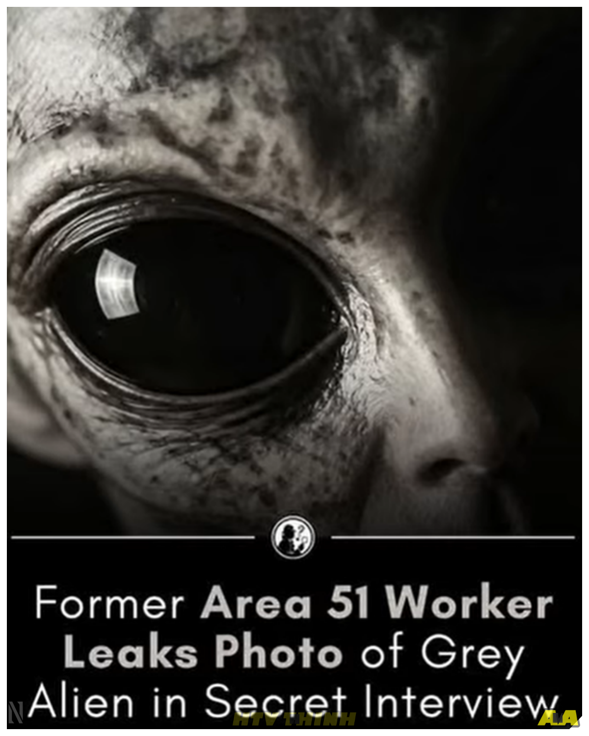 LEAK OR ILLUSION? A SHADOWY AREA 51 INTERVIEW ALLEGEDLY REVEALS CLASSIFIED IMAGES OF NONHUMAN FORMS—BUT AS THE STORY SPREADS WITHOUT PROOF, A CHILLING QUESTION EMERGES ABOUT WHAT MAY HAVE BEEN HIDDEN FOR YEARS AND WHY NO ONE WILL CONFIRM OR DENY WHAT WAS REALLY SEEN What began as a quiet whisper about a confidential interview has now exploded into a global obsession as reports hint at restricted images tied to unknown forms, yet the complete absence of verification only deepens the mystery, pushing experts to warn of misinformation while fueling public fascination with the possibility that something significant remains concealed, leaving audiences caught between skepticism and curiosity as they wonder whether this is just another misunderstood rumor or a carefully buried truth waiting to surface