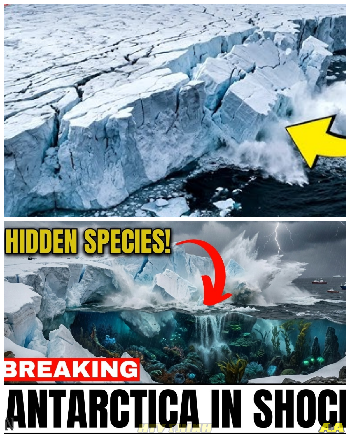 ANTARCTIC ICE COLLAPSES – A MASSIVE 510 KM² ICEBERG BREAKS AWAY AND REVEALS SOMETHING NO ONE CAN EXPLAIN A colossal section of Antarctic ice has suddenly broken free, forming a 510 square kilometer iceberg and exposing what lies beneath for the first time in centuries. At first, scientists described it as a natural calving event, something expected in polar dynamics, but then the discoveries began to raise eyebrows—unusual biological activity, unexpected structures, and forms of life that don’t fit neatly into existing categories. The twist? What appears “impossible” may actually be organisms adapted to extreme conditions, yet their existence still challenges what we thought we knew about life on Earth. As images circulate and curiosity grows, one question keeps surfacing—why are we only now seeing what’s been hidden beneath the ice all this time, and what else might still be waiting to be uncovered?