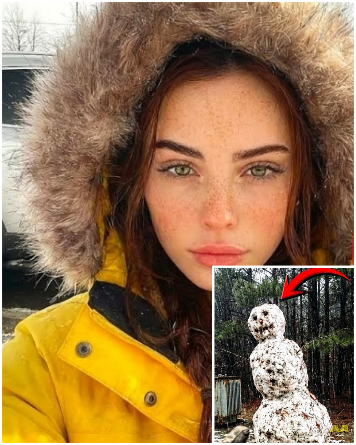 The Snowman’s Secret: The Chilling Tale of the California Woman Who Was Murdered and Disguised as a Snowman