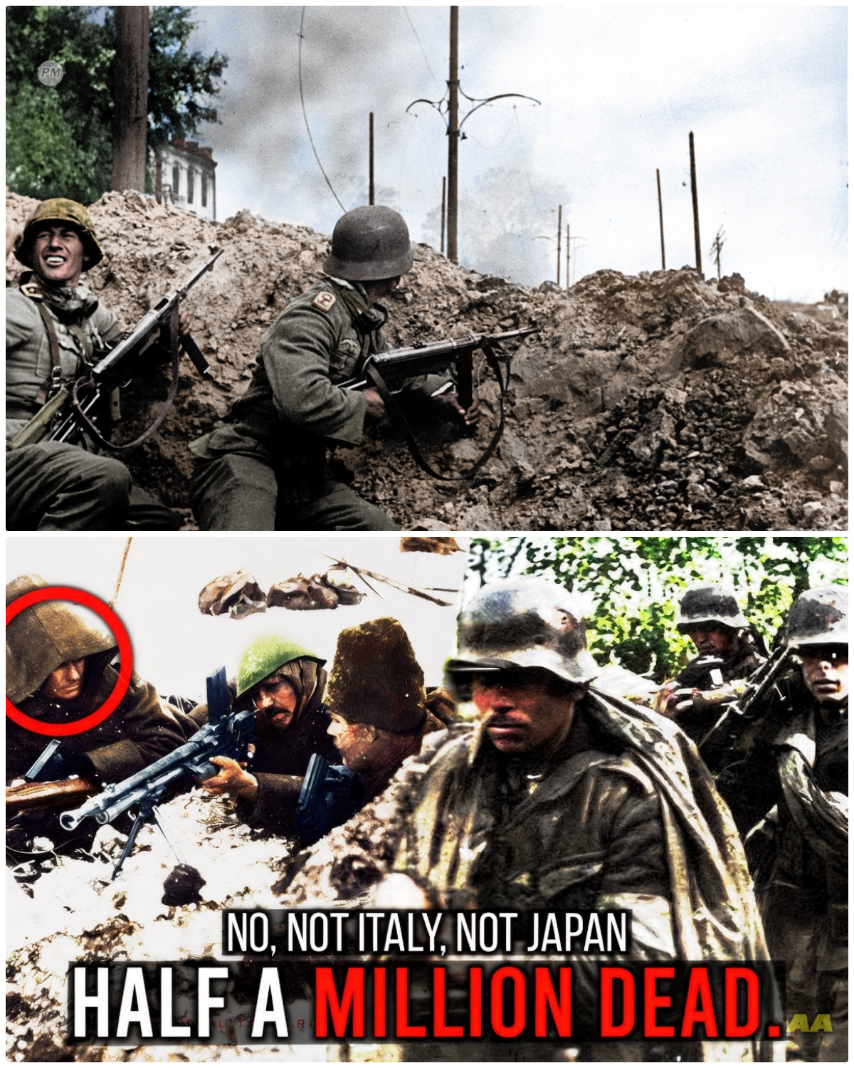 Germany’s Forgotten Ally That Bled More Men Than Anyone During WWII