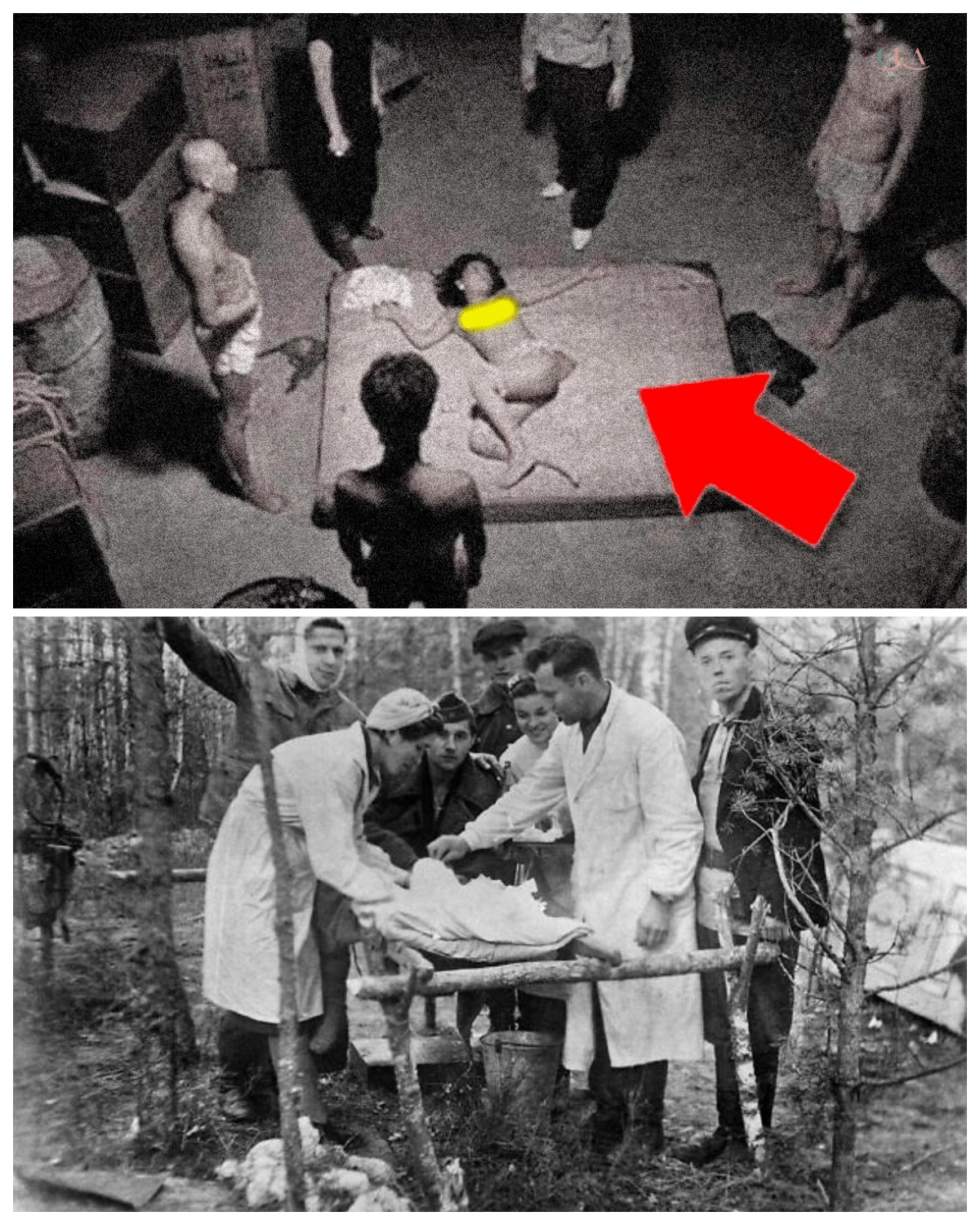 The Untold Story of a Young Jewish Girl Under the Nazi regime — What She Endured Will Stay With You Forever Behind the headlines of World War II lies a deeply personal story of resilience, fear, and survival. One young girl’s experience reflects the unimaginable reality faced by millions during one of history’s darkest chapters. What did she go through, and how did she hold on to hope in such circumstances? DISCOVER the FULL STORY and CLICK the article link in the comments to learn more.