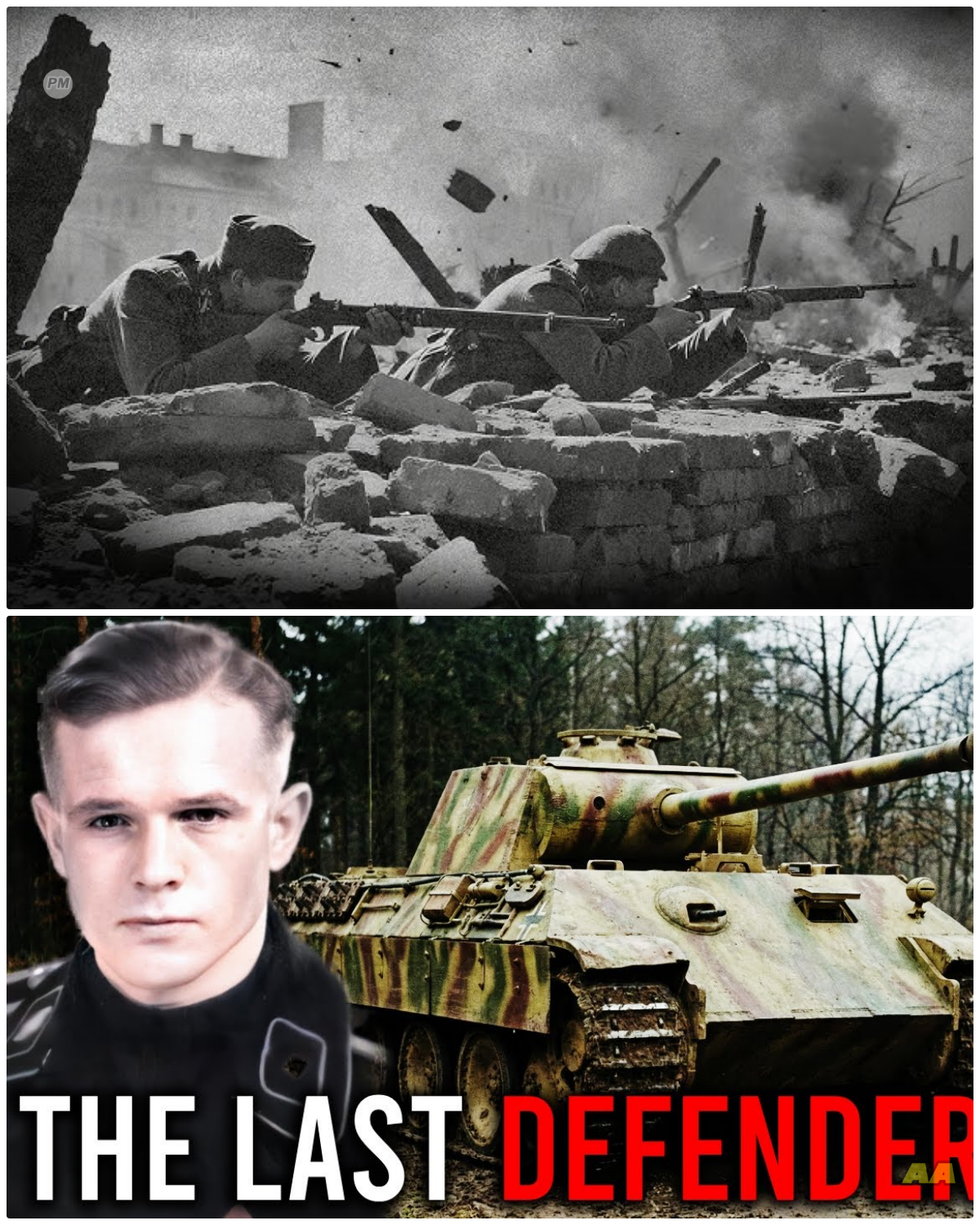 The Brutal Truth About the Elite “Panzer Aces” (UNCENSORED)