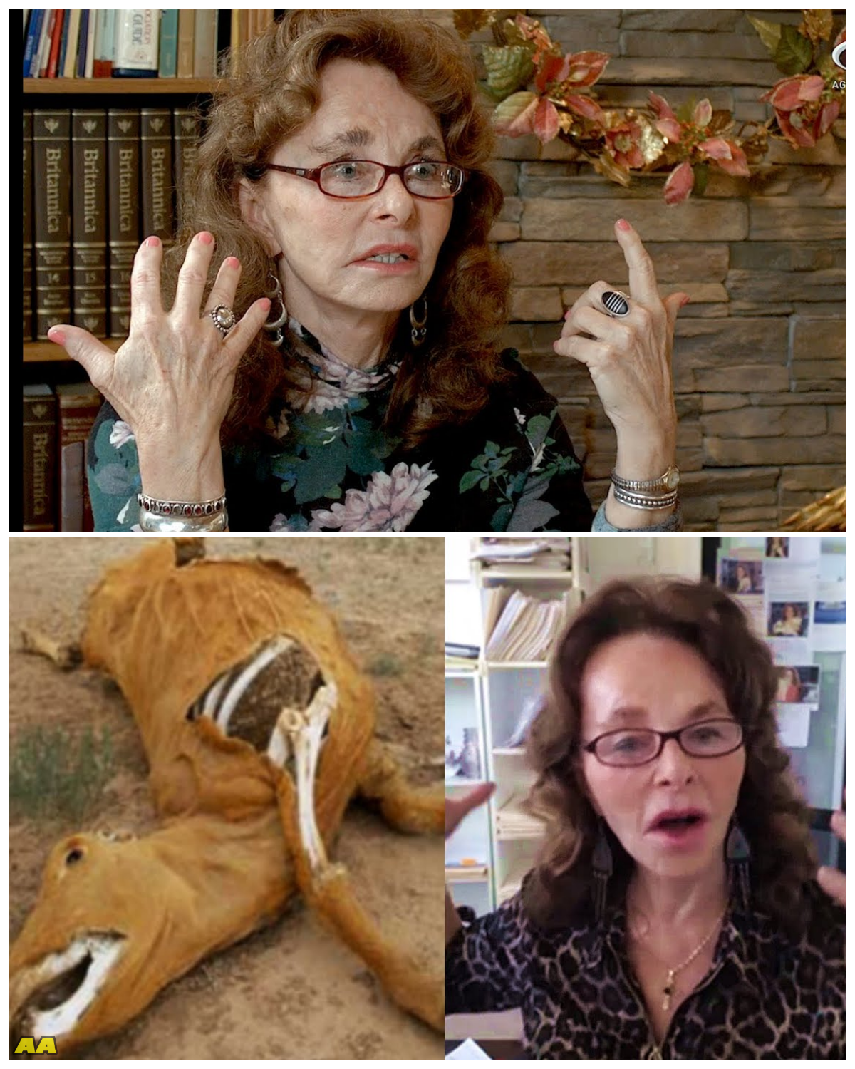 LINDA MOULTON HOWE ~ “E.T. Experiments & Alien Races On Planet Earth”