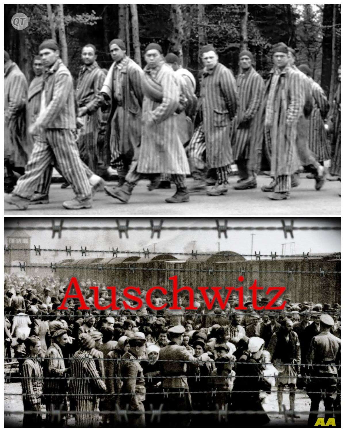Engineered for Evil | Auschwitz: The Design behind the Nazi Death Camp-ZZ