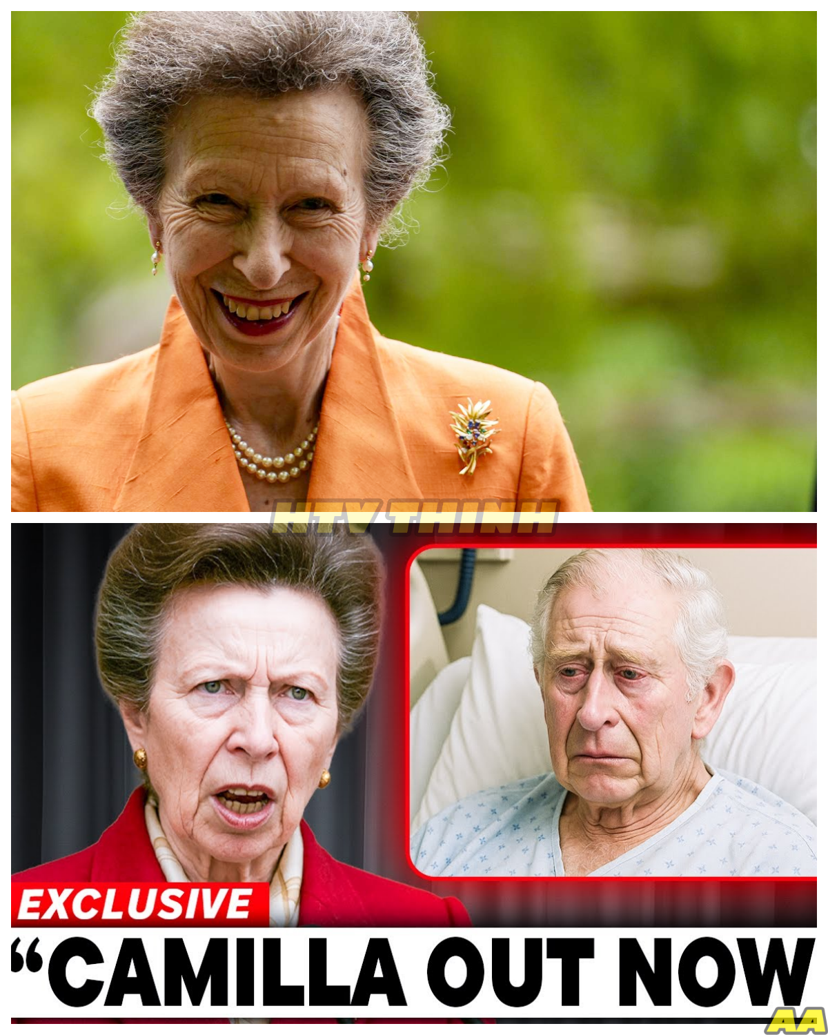 Camilla Collapses As Princess Anne Reveals King Charles Final Wish !!!