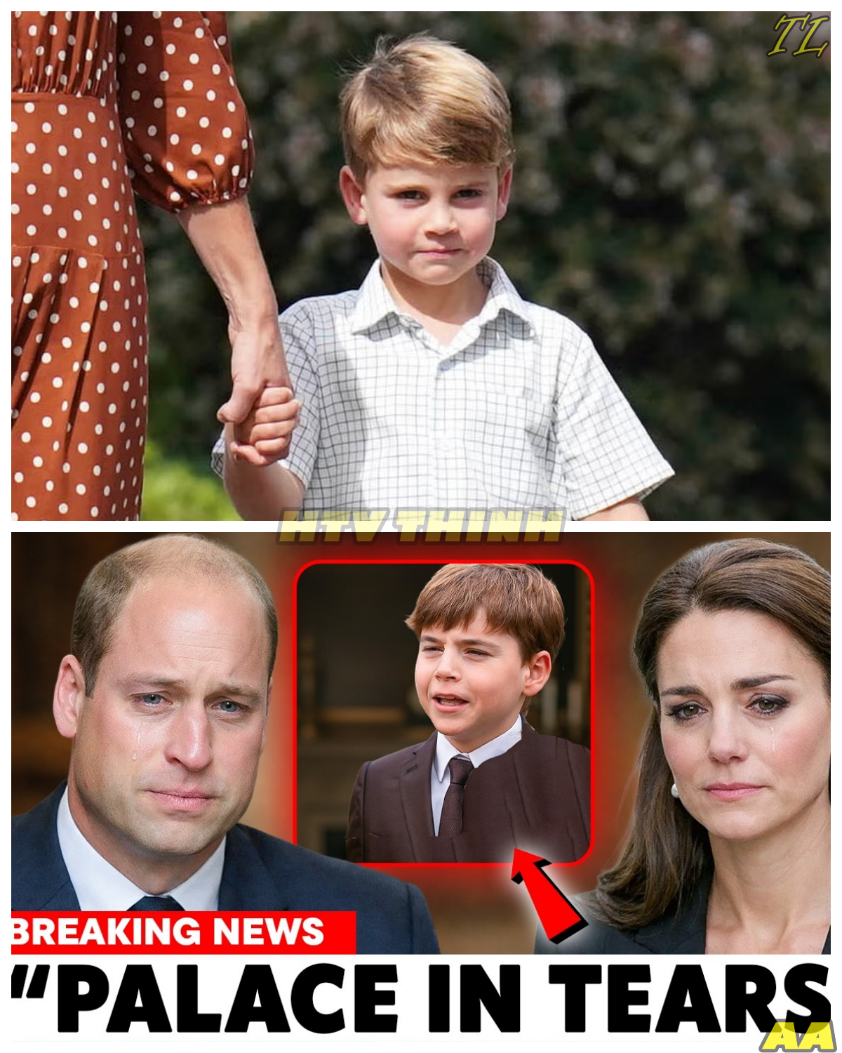 Palace Psychologist REVEALS Prince Louis’ Heartbreaking Diagnosis !!!