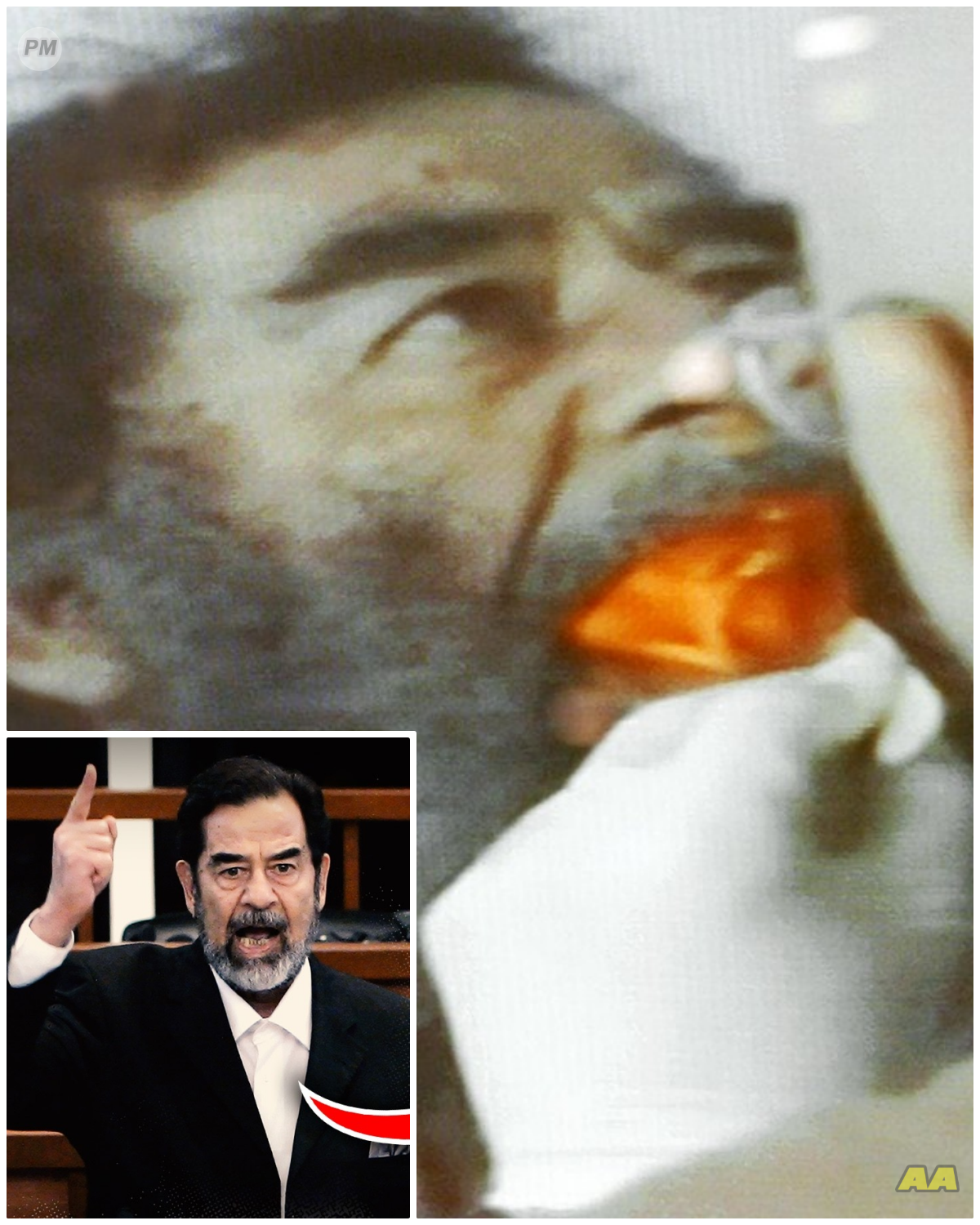 The Brutal EXECUTION of Saddam Hussein is HARD to Stomach!