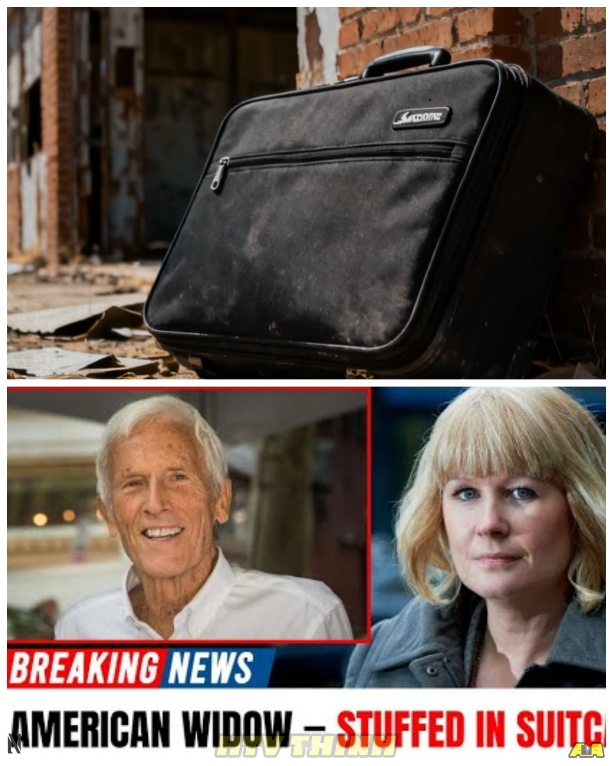 American Widow Mailed $1M to a “General” — FOUND 3 Days Later Stuffed in a Suitcase