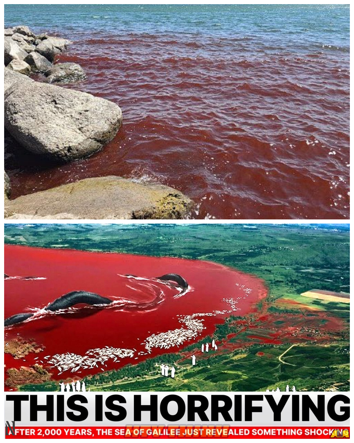 AFTER 2,000 YEARS, THE SEA OF GALILEE JUST REVEALED SOMETHING SHOCKING – THE DISCOVERY THAT WILL CHANGE EVERYTHING WE KNOW ABOUT THE BIBLE After 2,000 years, the Sea of Galilee has just revealed a shocking secret that has left historians and religious scholars in disbelief. What was uncovered beneath its waters, and why does this find challenge everything we thought we knew about biblical history? This unprecedented discovery is more profound than anyone could have imagined and could rewrite ancient history.