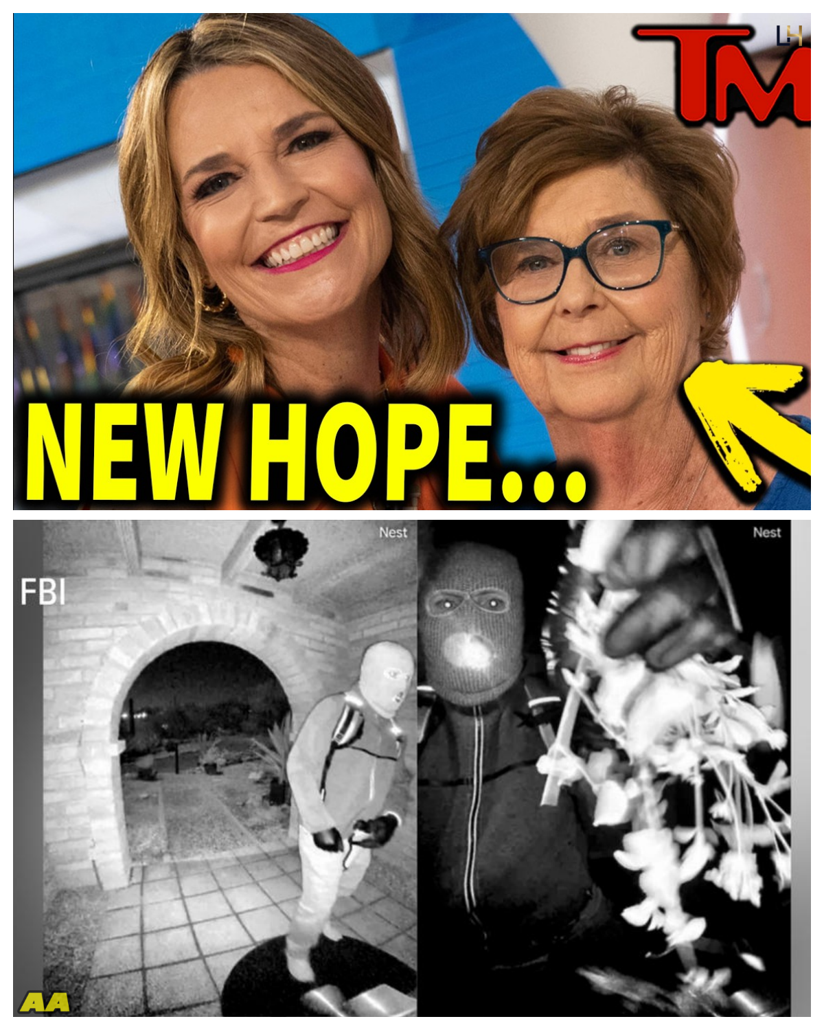 Nancy Guthrie: Expert Reveals Potential PIVOT In Investigation