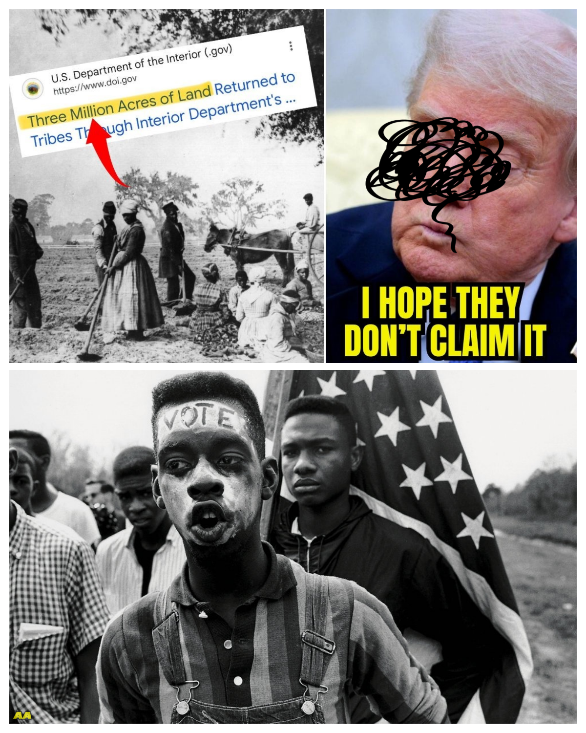 3 Million Acre Land Being Given! Black Americans Can Claim It!