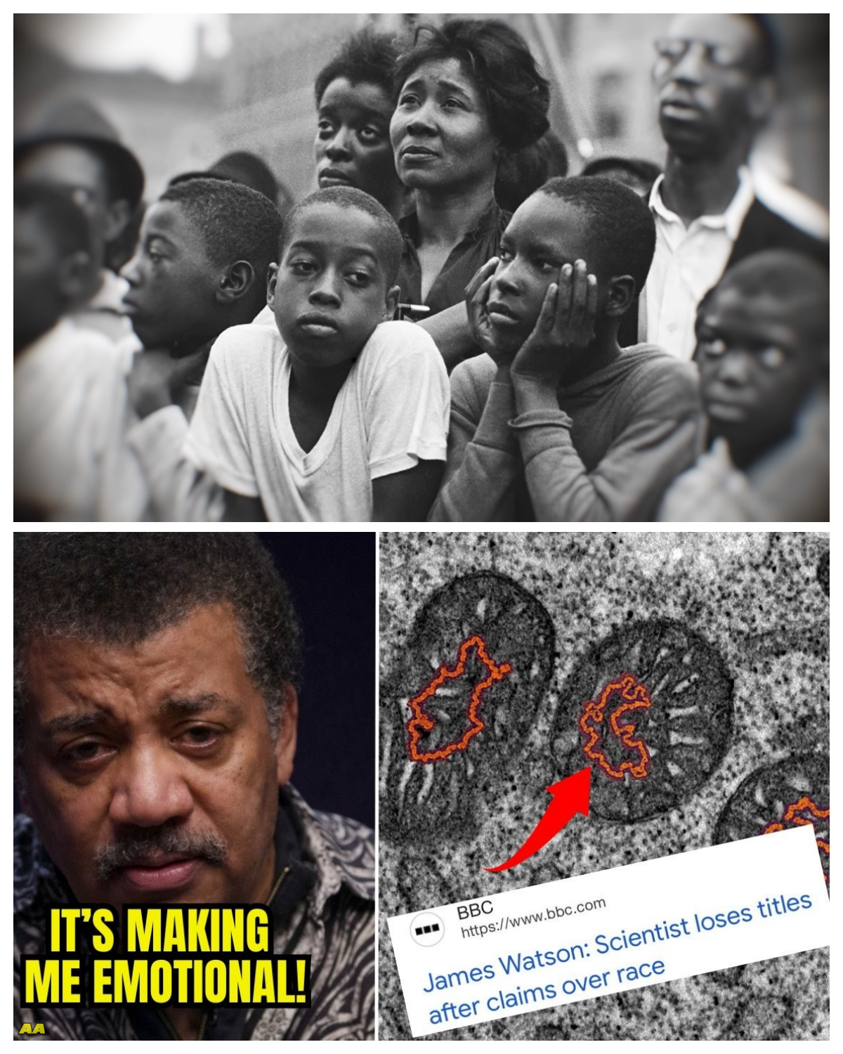 White Scientists Are NERVOUS as Black DNA Reveals Unexplainable Powers!