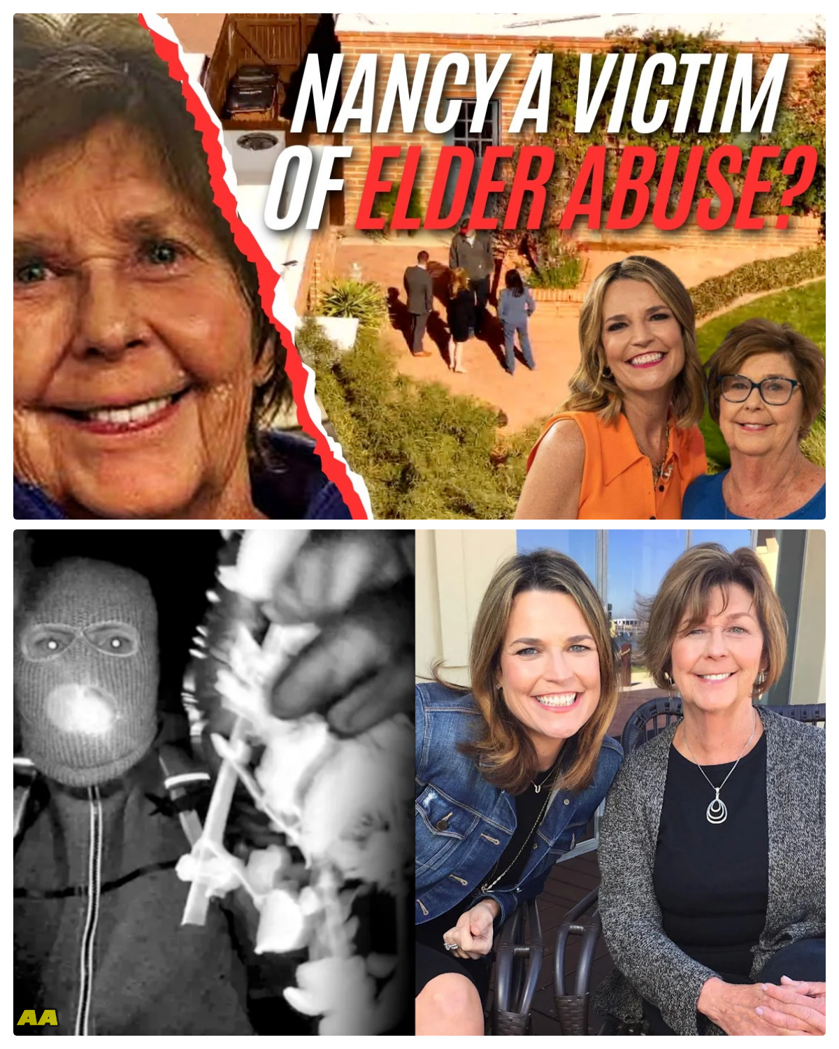 Was Nancy Guthrie a victim of elder abuse?