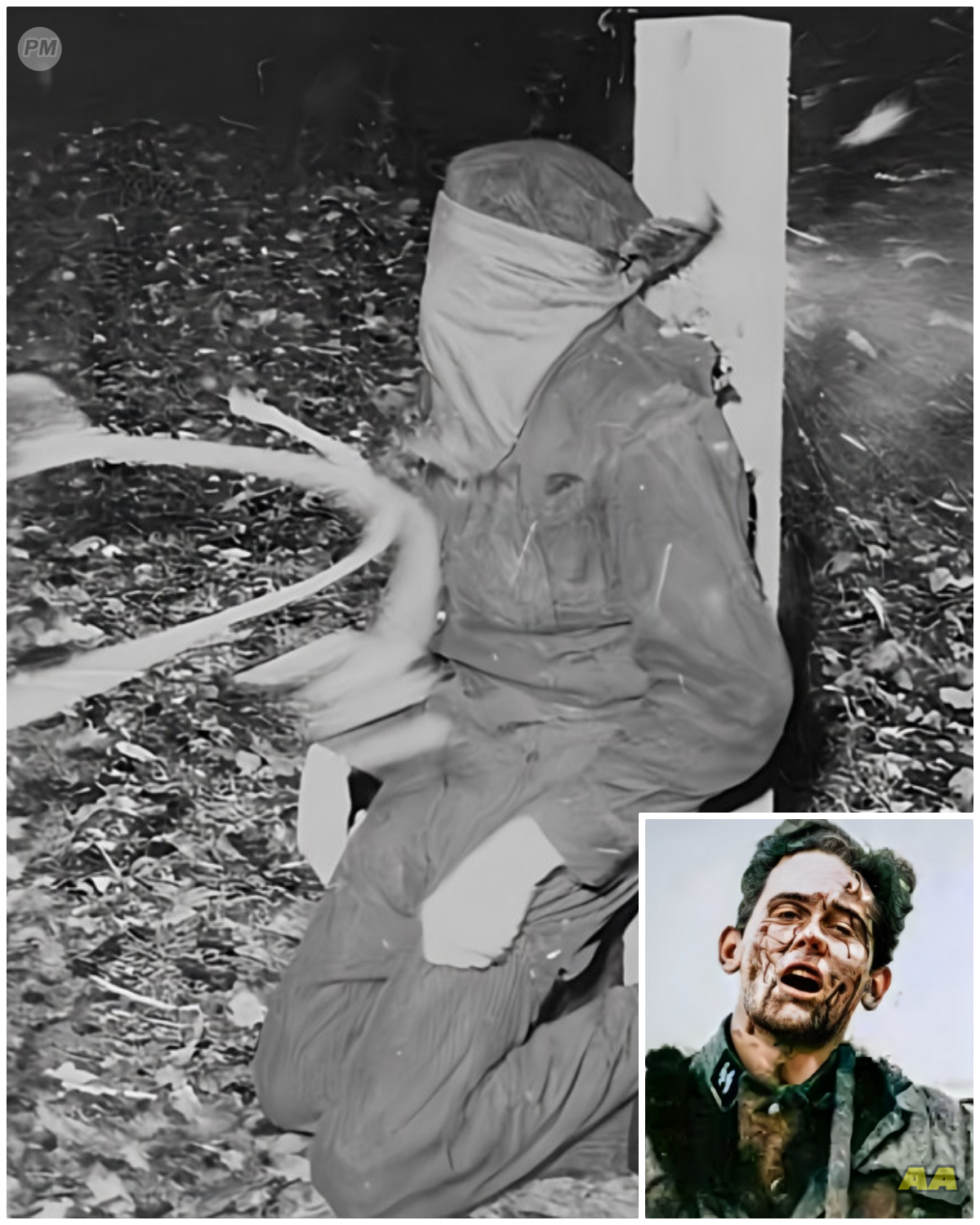 The Dark Reason Captured SS Soldiers Were Shot *Warning HARD TO STOMACH