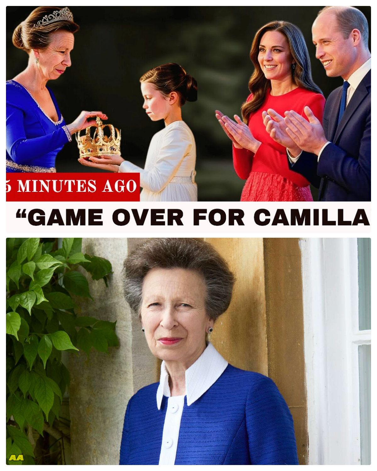 Princess Anne SHOCKS All by Giving Her Royal Title to Princess Charlotte