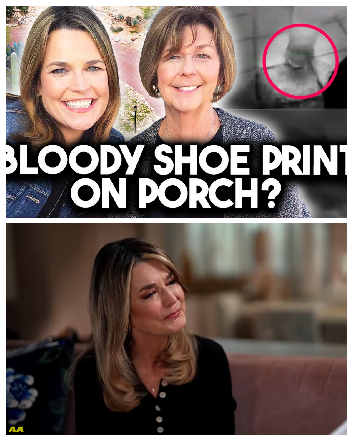 Possible Shoe Print in Blood? 3 Shocking Expert Theories | Nancy Guthrie Update