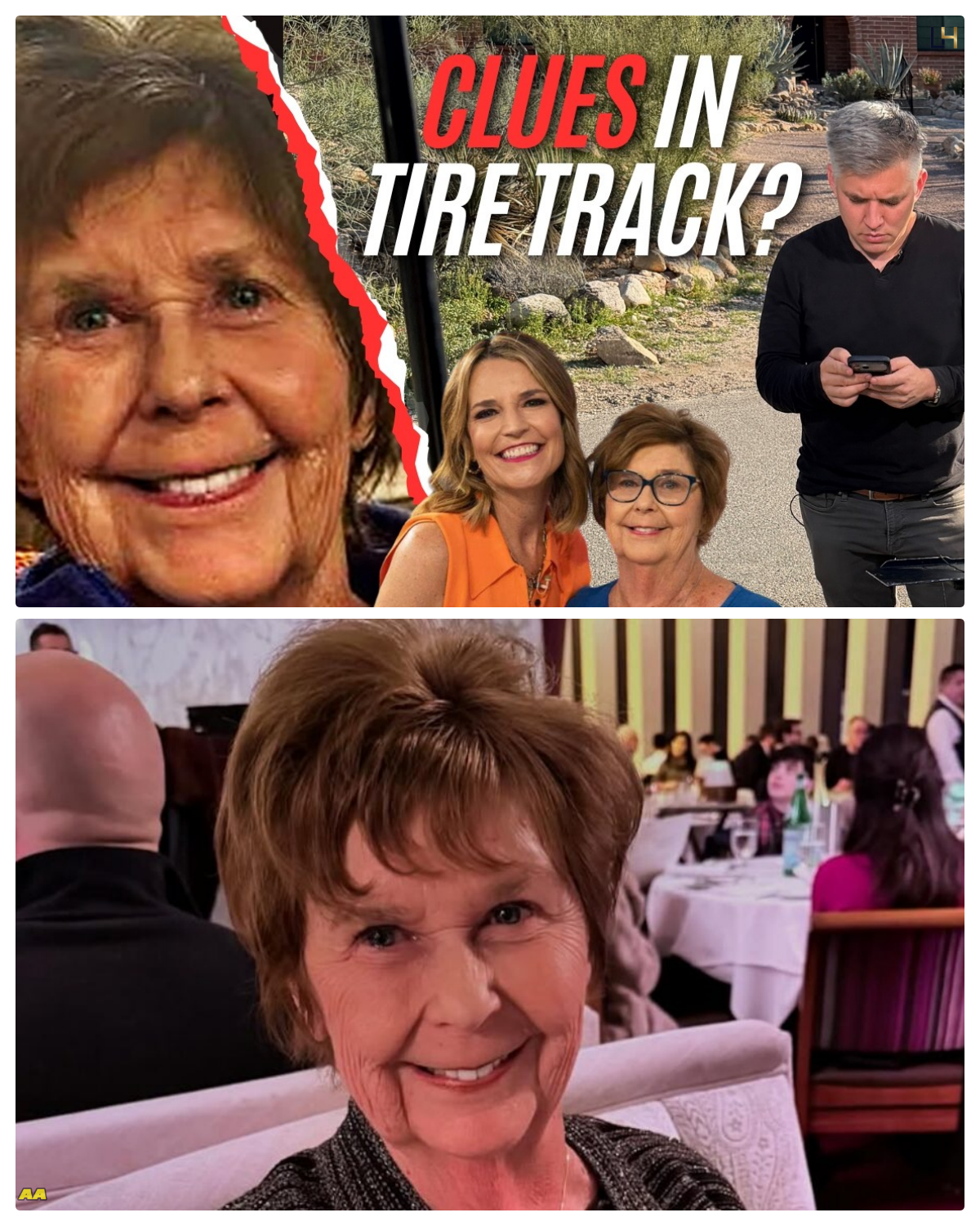 Could tire tracks help crack Nancy Guthrie case — and is the FBI building a suspect profile?