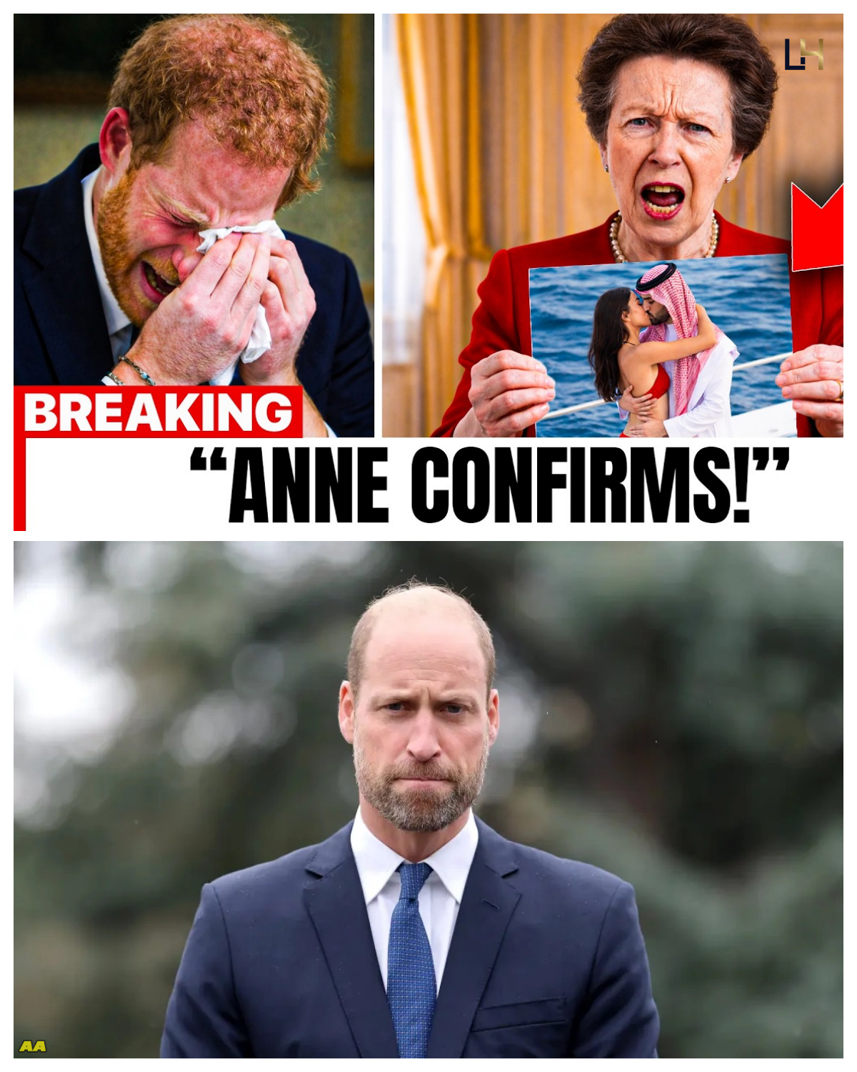 Harry FURIOUS As Princess Anne CONFIRMS The Saudi Dossier EXISTS — It’s ALL True!