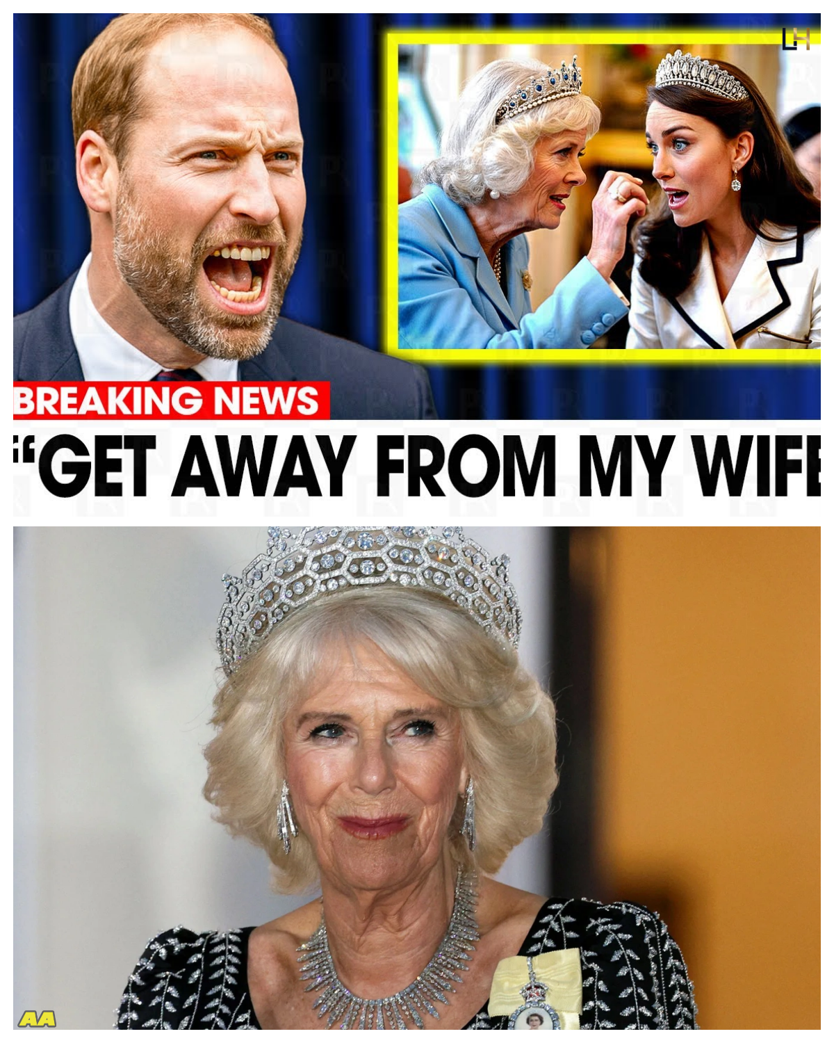 William FURIOUS After Camilla FORCES Kate to Lend Her Royal Tiara