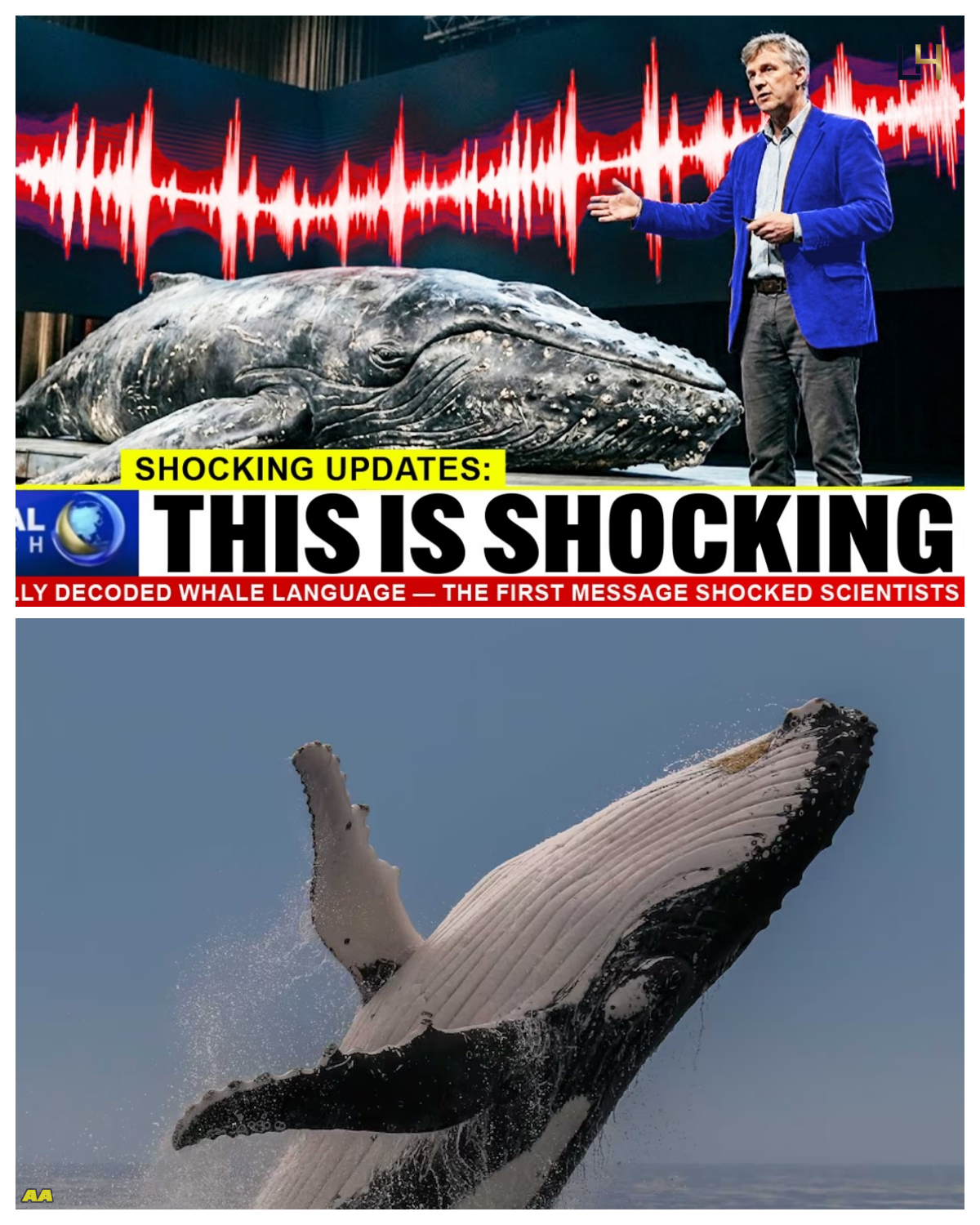 AI Finally Decoded Whale Language — The First Message Shocked Scientists