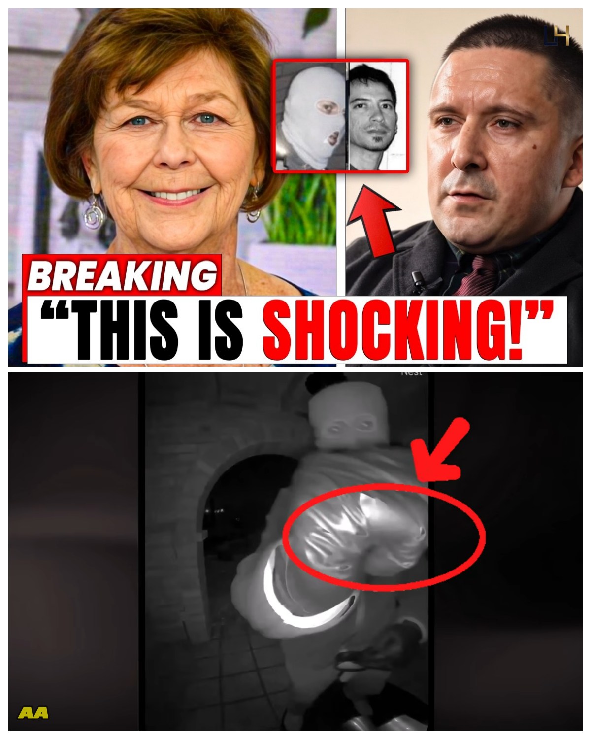 1 MINUTES AGO FBI Profiler Reveals Why Nancy Guthrie May Have Been Targeted jn