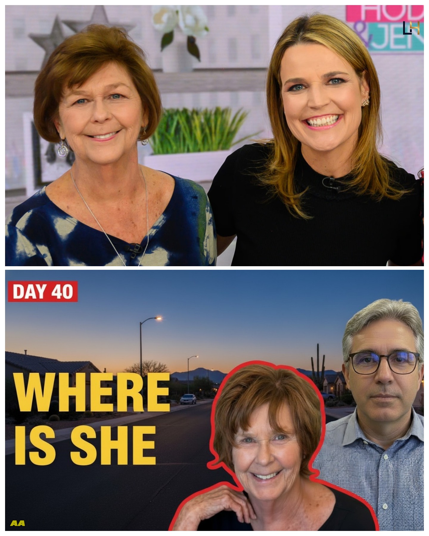 Nancy Guthrie Update: Ex-FBI Says Arrest Is Close — But Where Is She? jn