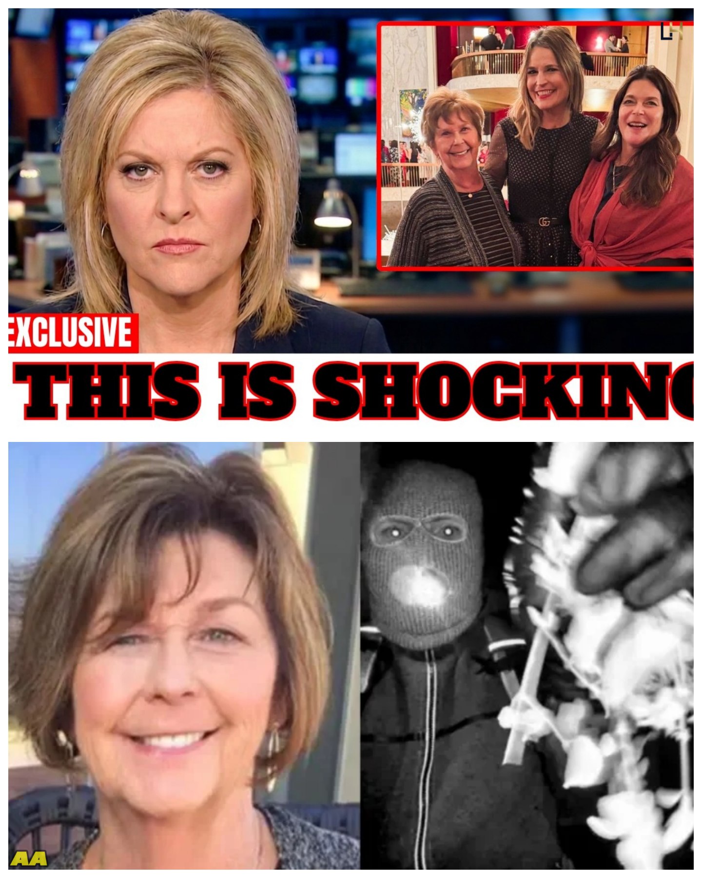 Savannah Guthrie’s Sister Finally Speaks — The Truth Behind Her Smile jn