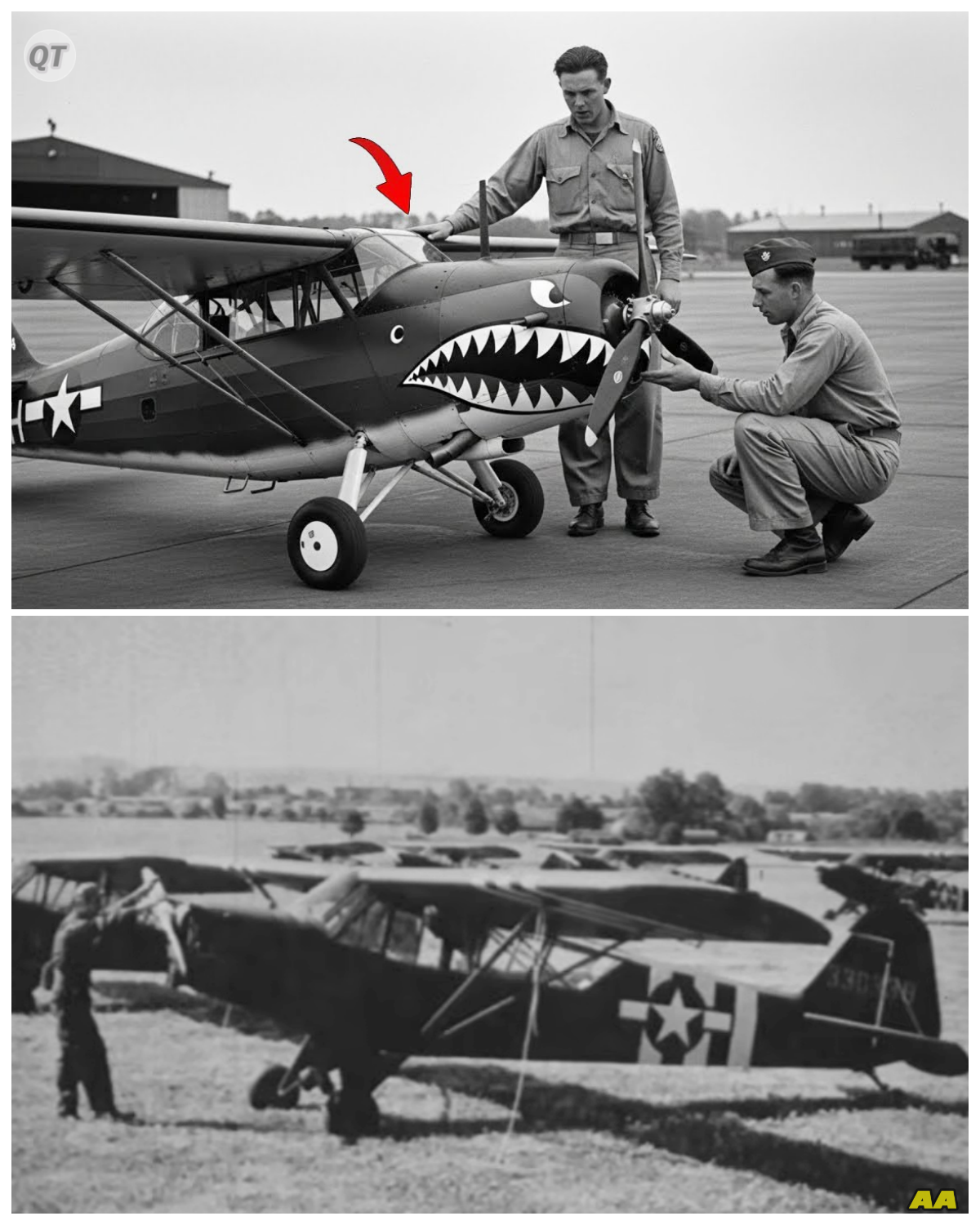 When This ‘Knee-High’ Plane Charged Germans — Nobody Believed What Happened Next-ZZ