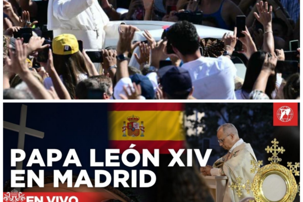 ¡Caos total tras el vivo de la histórica Vigilia del Papa León XIV con los jóvenes en Madrid este 6 de junio, desnudando internas de la tarde, pactos de madrugada y una feroz rosca de poder que la mesa chica ocultó con burdas farsas en todo internet! El silencio sepulcral de los sectores críticos de la tarde tras el contundente e inesperado baño de masas del Pontífice destapó una descomunal olla de presión en los despachos oficiales de madrugada mientras el chat de la transmisión en vivo ardía desmantelando las réplicas.<p> “El que siembra vientos de indiferencia institucional desde las alturas con gacetillas de la tarde pretendiendo tapar un impacto juvenil de esta magnitud en vivo, cosecha tempestades de una réplica implacable.<p>” Las sospechas quebraron el entorno.<p> La historia completa está en los comentarios a continuación.<p>