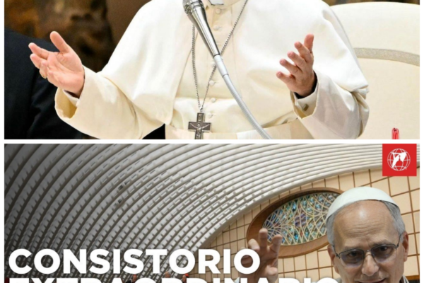 ¡Caos total tras el sorpresivo discurso de León XIV en el Consistorio ...