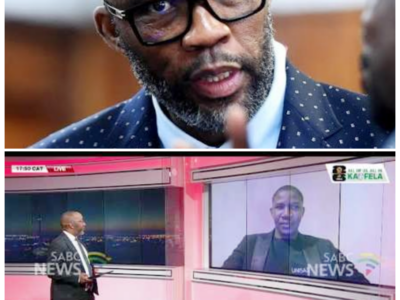“CAT” MATLALA PUT UNDER THE MICROSCOPE IN THABANG BOGOBA’S GRAPHICAL BREAKDOWN OF THE MADLANGA COMMISSION, WITH THE ENTIRE PROCEEDING NOW FEELING LIKE A SLOW-BURN REVELATION WHERE POLITICAL DRAMA, PUBLIC SUSPICION, AND STRANGE OPTICS COLLIDE IN PLAIN SIGHT -ZZ  A graphical look can change everything. Suddenly, the same proceedings that might have seemed routine now carry the weight of something more volatile, more strategic, and far more revealing. Bogoba’s stock-taking of the commission gives the whole affair a new level of intrigue, where every layer seems to suggest a deeper conflict waiting to surface. The full story is in the comments below.