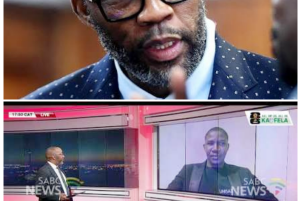 “CAT” MATLALA PUT UNDER THE MICROSCOPE IN THABANG BOGOBA’S GRAPHICAL BREAKDOWN OF THE MADLANGA COMMISSION, WITH THE ENTIRE PROCEEDING NOW FEELING LIKE A SLOW-BURN REVELATION WHERE POLITICAL DRAMA, PUBLIC SUSPICION, AND STRANGE OPTICS COLLIDE IN PLAIN SIGHT -ZZ  A graphical look can change everything. Suddenly, the same proceedings that might have seemed routine now carry the weight of something more volatile, more strategic, and far more revealing. Bogoba’s stock-taking of the commission gives the whole affair a new level of intrigue, where every layer seems to suggest a deeper conflict waiting to surface. The full story is in the comments below.