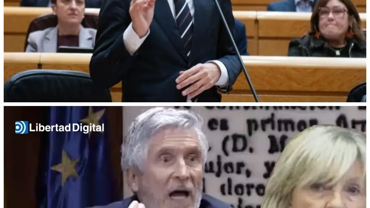 ¡Caos total tras el brutal interrogatorio a Marlaska en el Senado por el caso mascarillas, desnudando internas de la tarde, pactos de madrugada y una feroz rosca de poder que el Ministerio del Interior ocultó con farsas en todo internet! El silencio sepulcral de los secretarios de la tarde tras el careo en la Cámara Alta destapó una descomunal olla de presión en los despachos de madrugada mientras el chat de la transmisión en vivo ardía desmantelando los discursos oficiales del bando. “El que siembra vientos de hipocresía corporativa desde las alturas con gacetillas de la tarde pretendiendo tapar un golpe parlamentario de esta magnitud en vivo, cosecha tempestades de una réplica institucional implacable.” Las sospechas quebraron el entorno. La historia completa está en los comentarios a continuación.